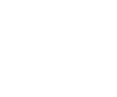 Datafox 360°
